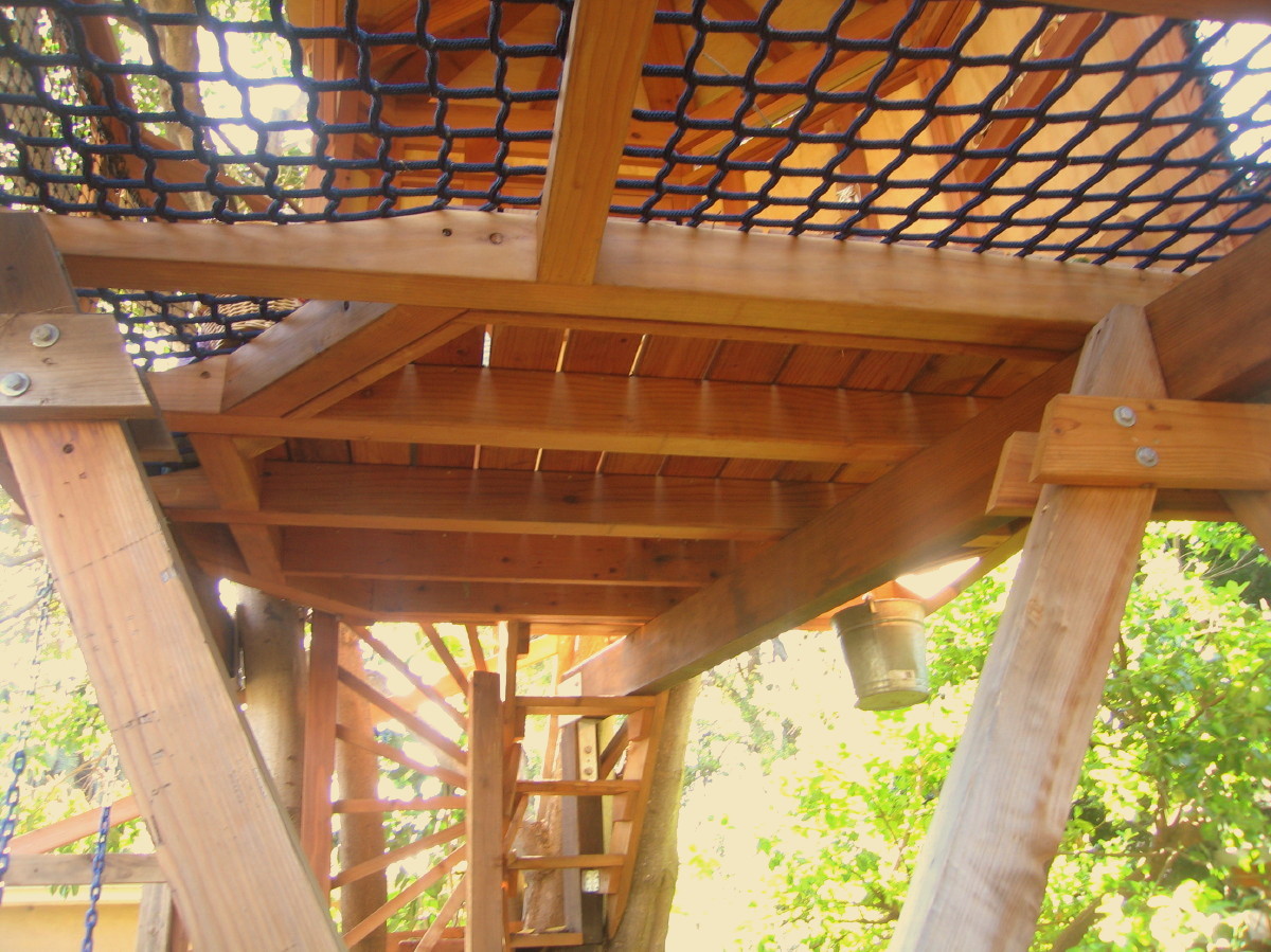 View of the floor from below, note the gorgeous redwood floor beams and planks, hidden fasteners, and the walkable netting
