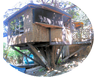 thumbnail of Original Treehouse, link to front page of site